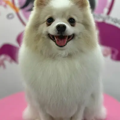 Betty photo 186