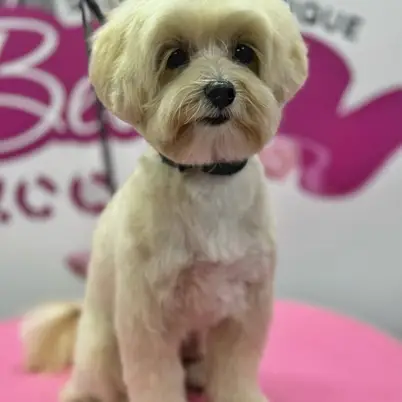 Betty photo 176