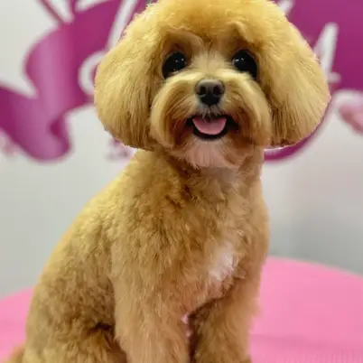 Betty photo 177