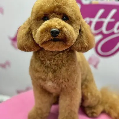 Betty photo 189