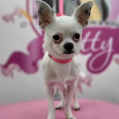 Betty photo 191