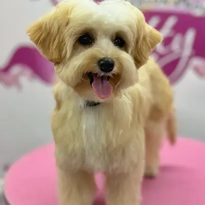 Betty photo 192