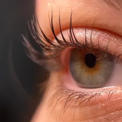 kmiets brows & lashes photo 8