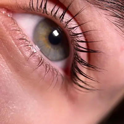 kmiets brows & lashes photo 20
