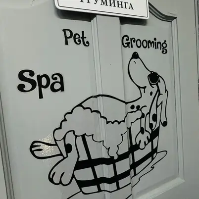ABC Pets Казахфильм photo 3