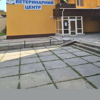 Ветеринарна клініка «Друг» · Ветклініка «Друг» Гонгадзе 20 photo 6