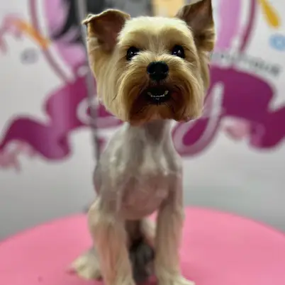 Betty photo 72