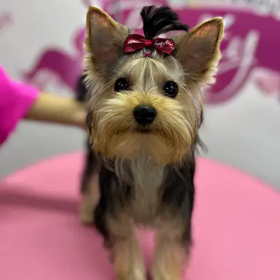Betty photo 74