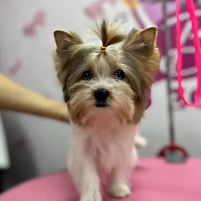 Betty photo 81