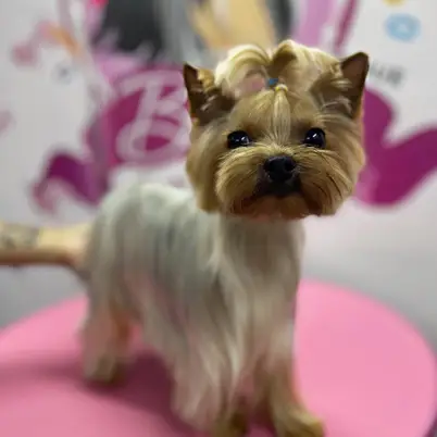 Betty photo 83