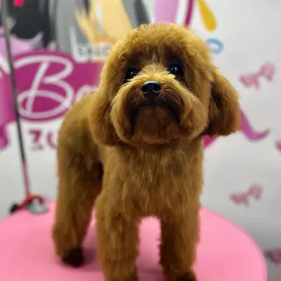 Betty photo 84