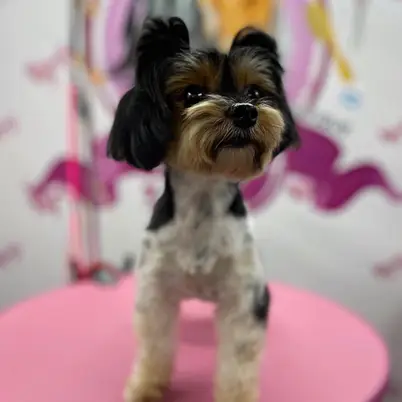 Betty photo 2