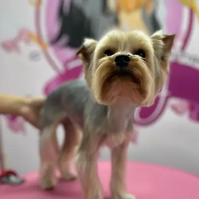 Betty photo 12