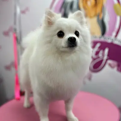 Betty photo 5