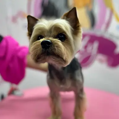 Betty photo 14