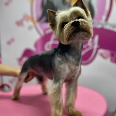 Betty photo 17