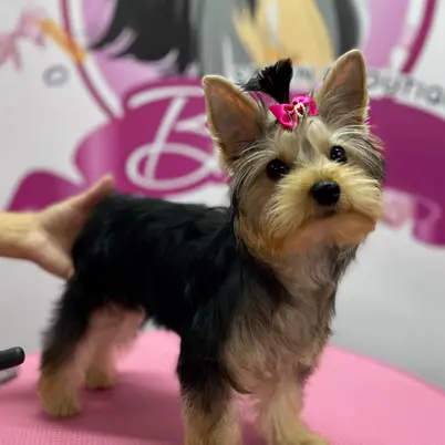Betty photo 38
