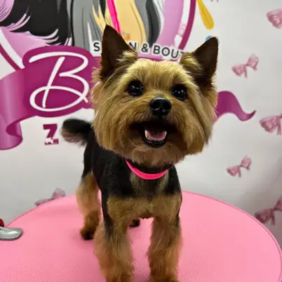 Betty photo 35