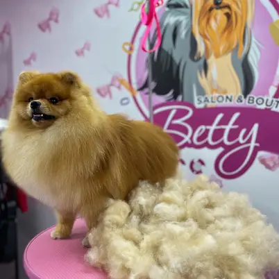 Betty photo 62