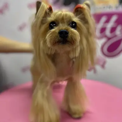 Betty photo 65