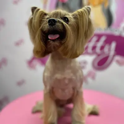 Betty photo 68
