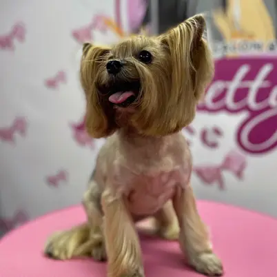 Betty photo 69