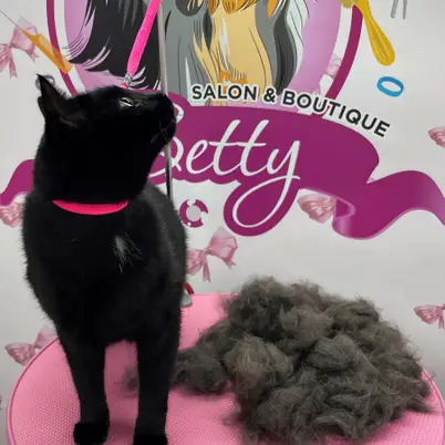 Betty photo 87