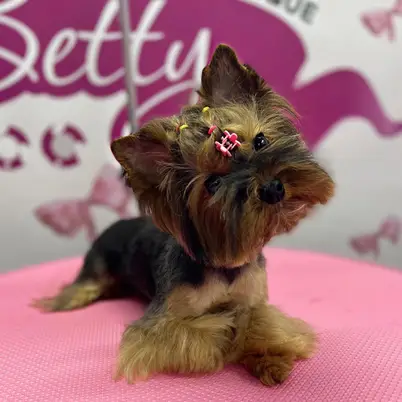 Betty photo 92