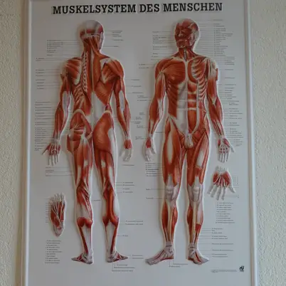 Massage Roten photo 6