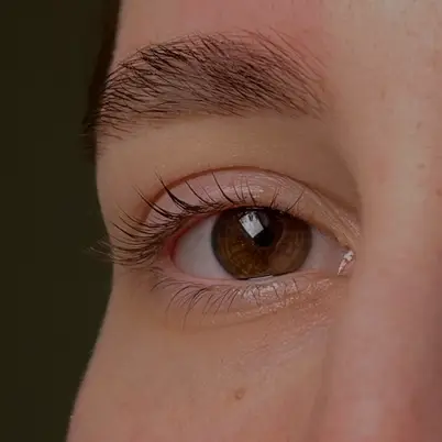 llabrows photo 2