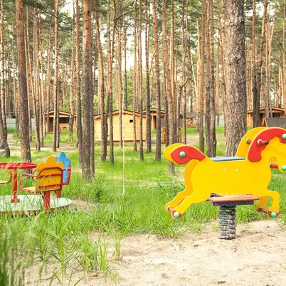 База відпочинку Еко-Десна photo 9