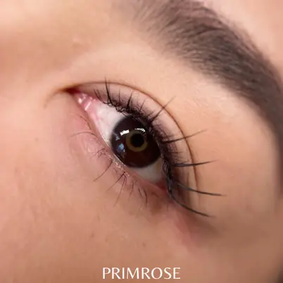Primrose Esthetic photo 18