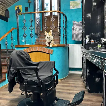 Odessa Mama Barbershop photo 5