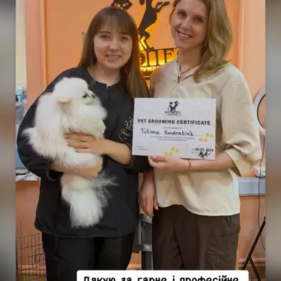 Студія грумінгу «Котопес» photo 18