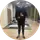 Даниил Крутиков