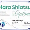 ALL SHIATSU ▲ Activ Long Life