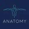 ANATOMY Kinesio