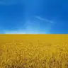 VfU