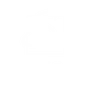 Yuliia Shumeiko pmu