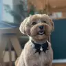 Grooming-Atelier, Viktoriia