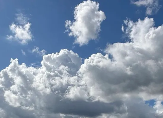 https://storage2.easyweek.io/processed/images/2026-05-24/62375a7bd584cb6f7520782fc0515e45a8c2d9bbb8dd1a37b333ff7e3e6ccd3c_1597x656.jpeg