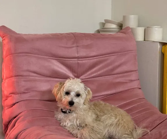 mainSlide