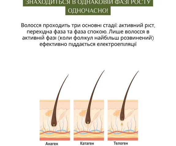 mainSlide