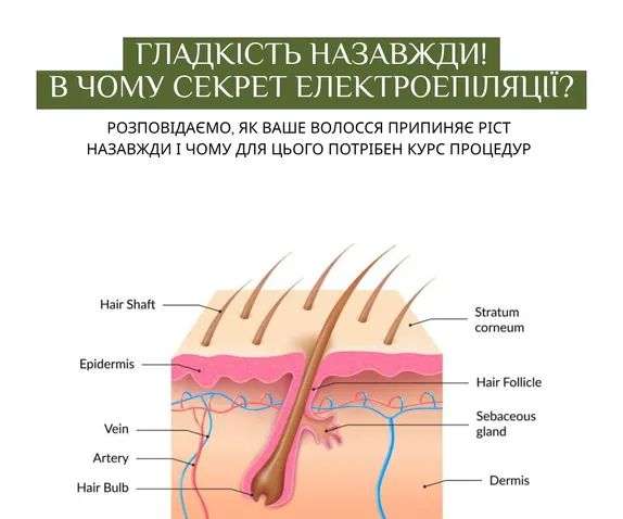 mainSlide