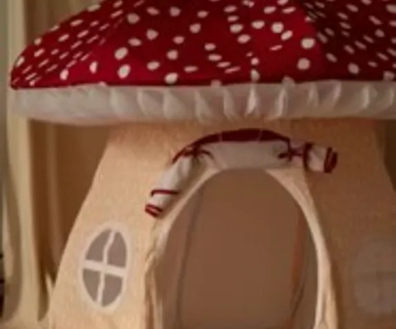 mainSlide