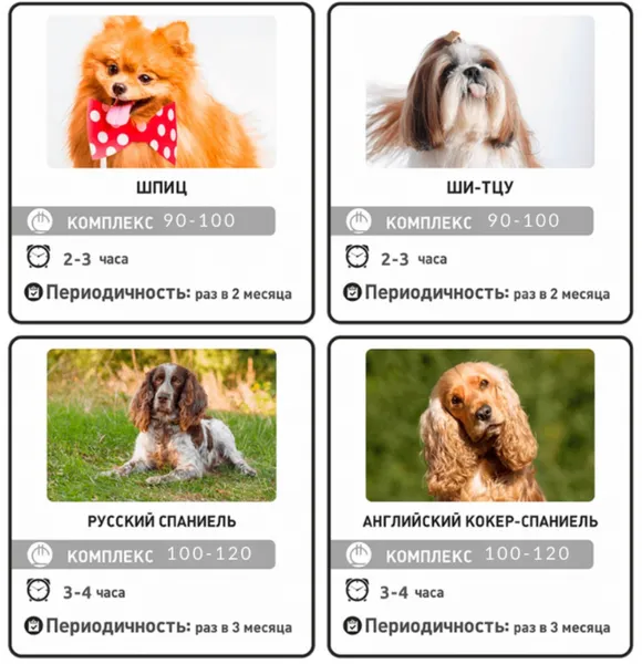https://storage2.easyweek.io/processed/images/2025-06-08/aaf5e5dba9101461665aa47dd069d31397e2fca7673a487ce37554fe5cff17a5_1920x1008.png