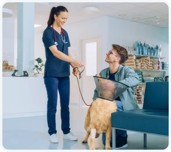 Рішення для ветклінік та зоосалонів