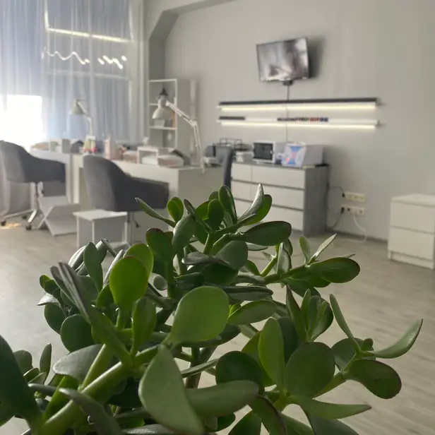 beauty_studio_solomenka photo 1