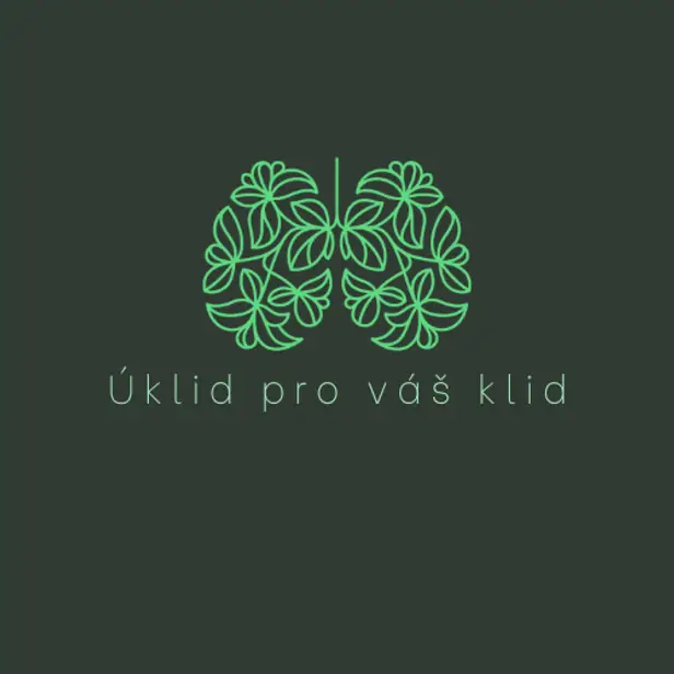 Uklid pro váš klid photo 1