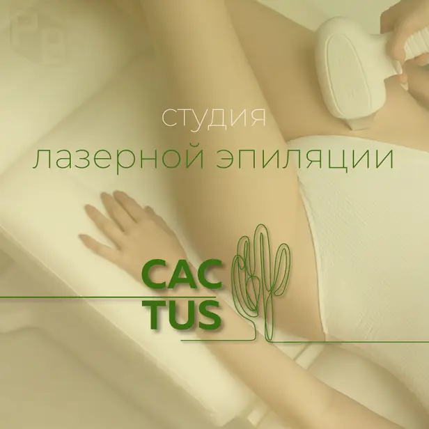 Cactus photo 1
